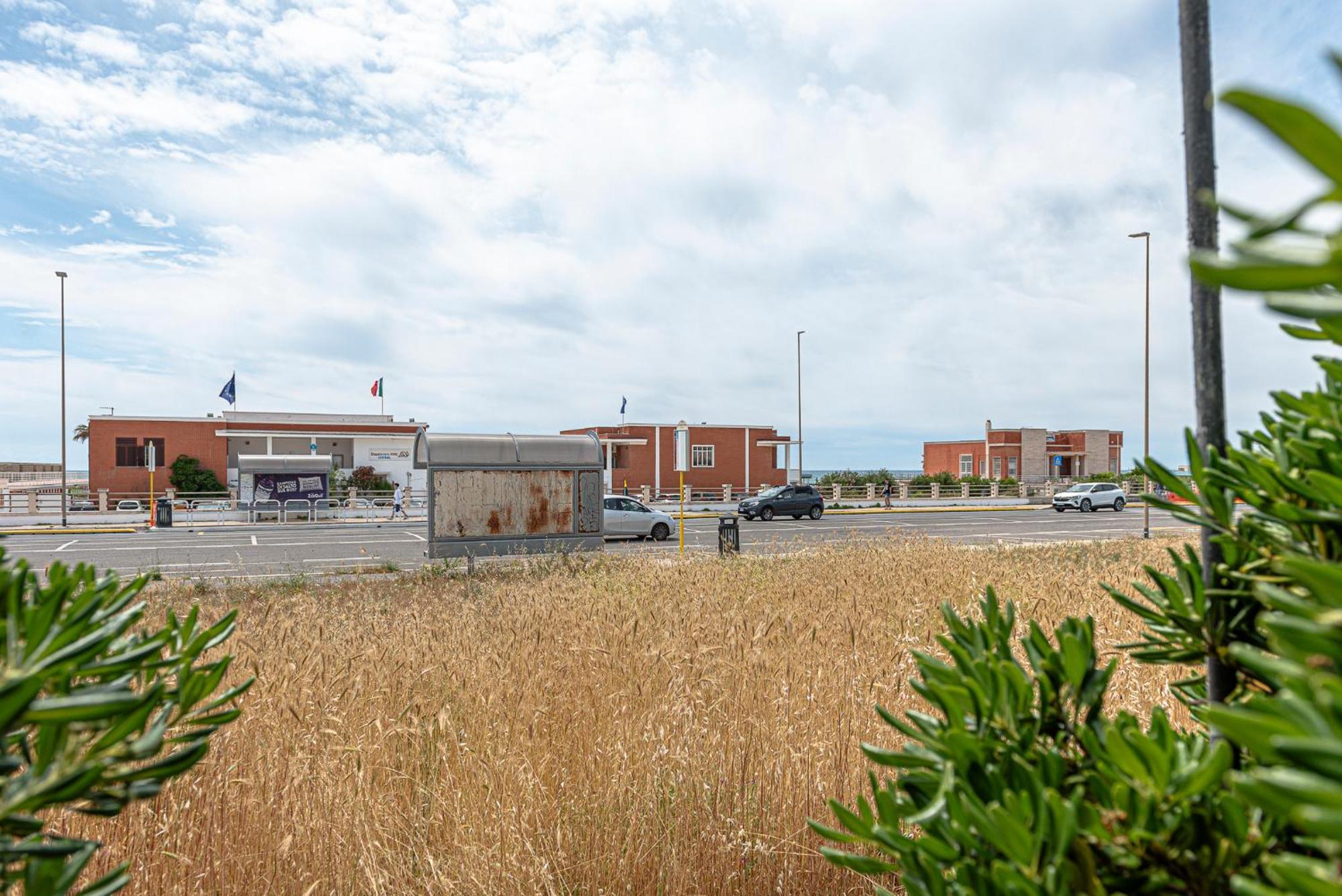 Villino Dei Coralli Lido di Ostia Exteriör bild