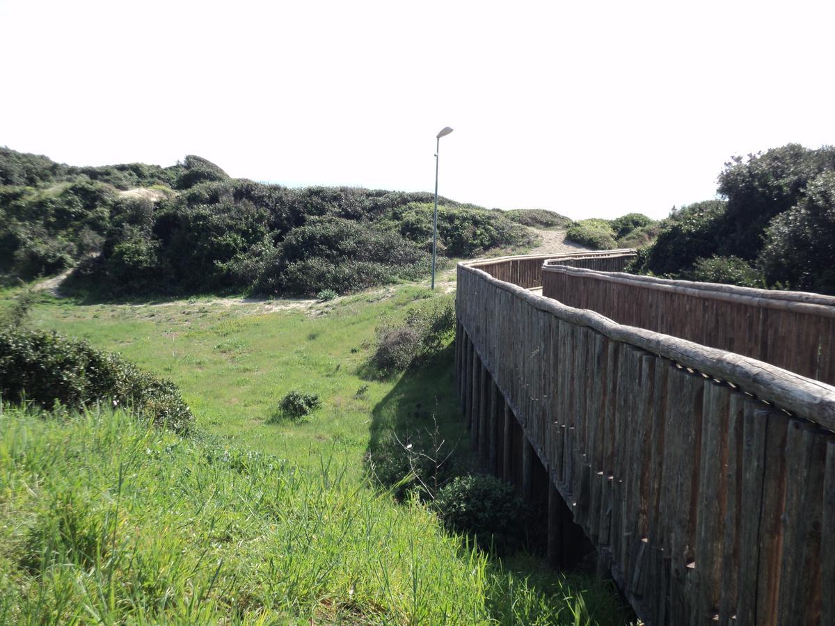 Villino Dei Coralli Lido di Ostia Exteriör bild