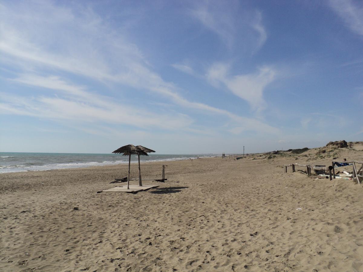Villino Dei Coralli Lido di Ostia Exteriör bild