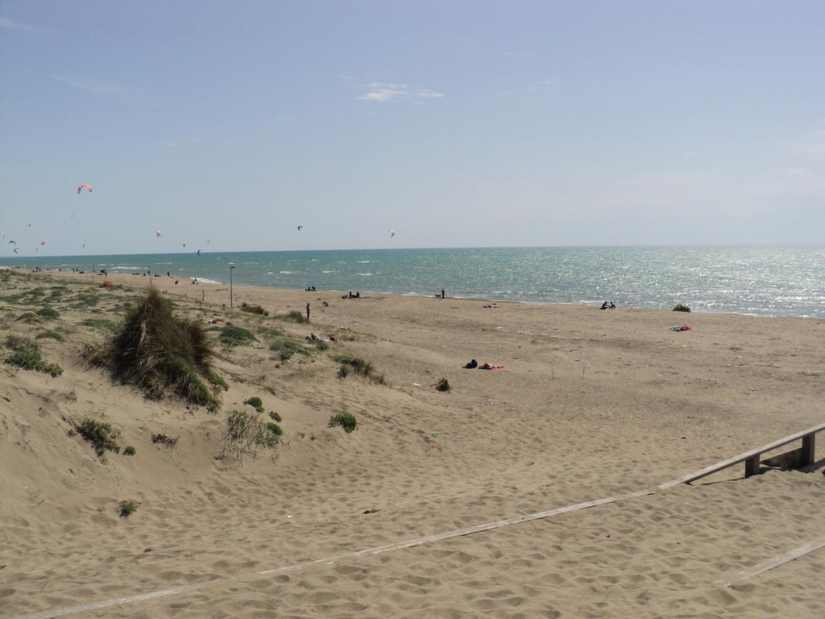 Villino Dei Coralli Lido di Ostia Exteriör bild