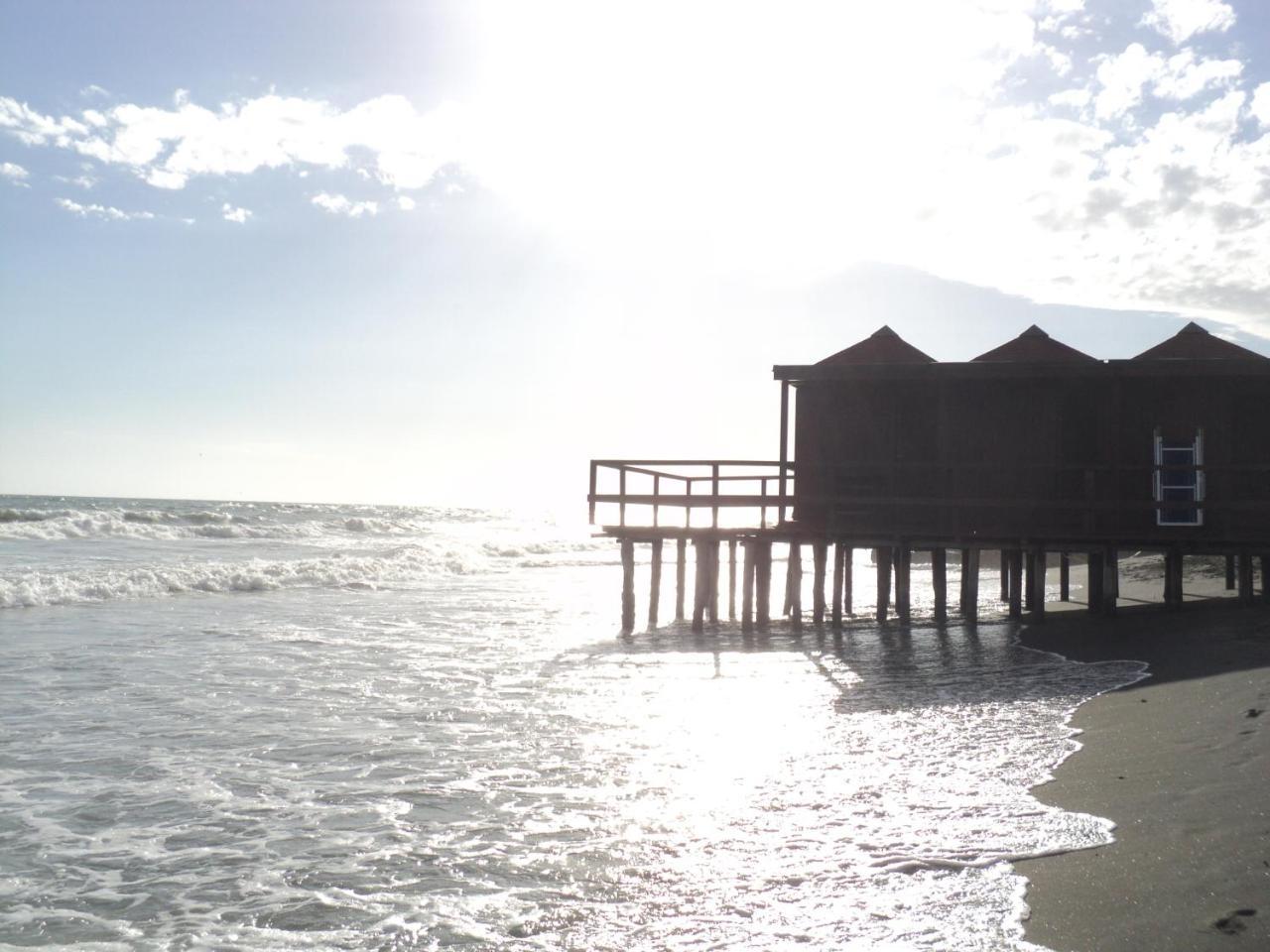 Villino Dei Coralli Lido di Ostia Exteriör bild